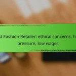 Fast Fashion Retailer: ethical concerns, high pressure, low wages