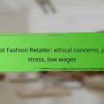 Fast Fashion Retailer: ethical concerns, job stress, low wages