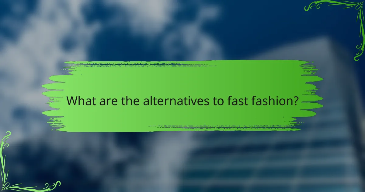 What are the alternatives to fast fashion?